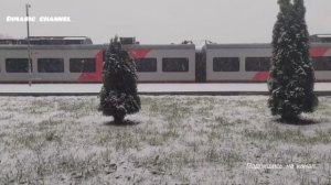 Первый снегопад