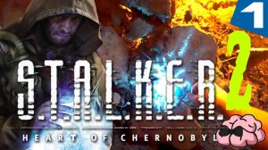 STALKER 2: Heart of Chornobyl ➼ Начало... Брось каку!  ➼1 серия