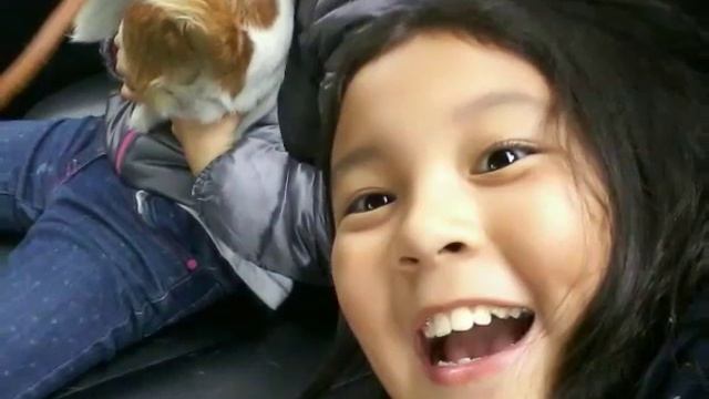 Я и моя собака в машине слайд шоу смотреть онлайн