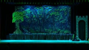 FIREBIRD BALLET-Lily Dec. 19, 2021