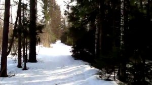 С музыкой на лыжах