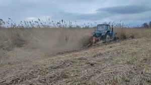 Работа мульчера  пожневых остатков ИМС 2.8