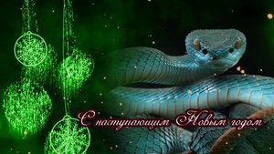 С Наступающим 2025 годом!