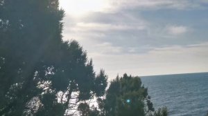 Анапа 7 декабря Отличный день ☀️Кормим Котиков 🐱