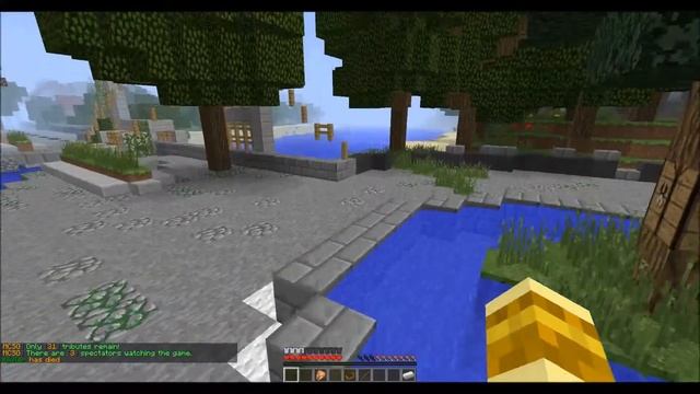 Minecraft Hunger Games- I Killed My Friend By Accident!! смотреть онлайн