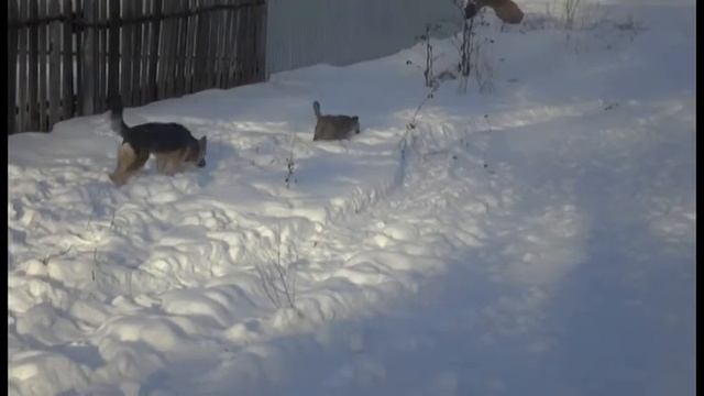 Прогулка смотреть онлайн