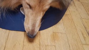 Песня Огурчик