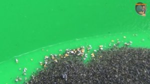 Лучшее  2020 года (сборка)