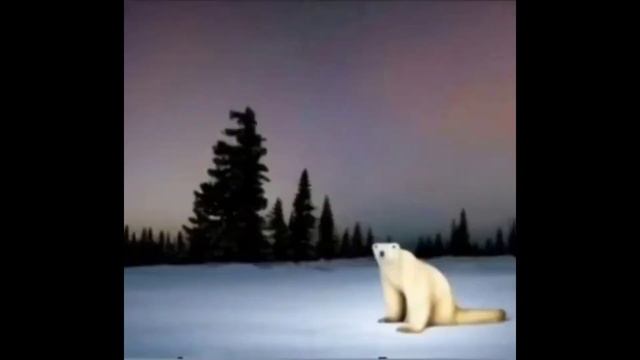 МЕМЫ СЕЙЧАС И 2026 ГОДА