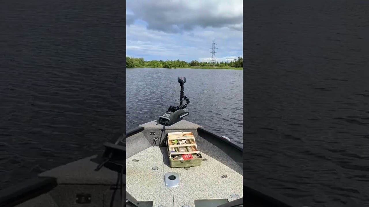 Рыбалка на хищника! В поисках Щуки и Окуня. #рыбалка #охота #fishing #окунь #щука #природа #река смотреть онлайн