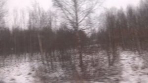 Сергиев Посад, автобус 50, участок Станция Бужаниново - Поворот на Гальнево