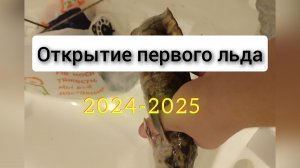 Первый лед 2024/2025