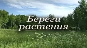 Береги растения