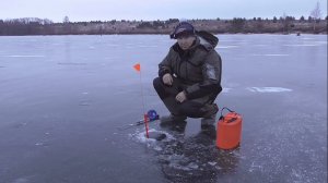 Первый лёд в Марий Эл 2024-2025, ловим щуку на жерлицы.