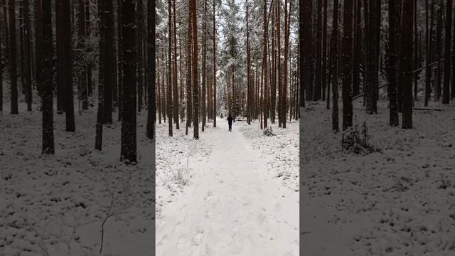Делай так каждый день - нервы болеть не будут.