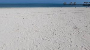 IBEROSTAR DAIQUIRI ALL-INCLUSIVE HOTEL REVIEW CAYO GUILLERMO CUBA (How was It)@Finding-Fish