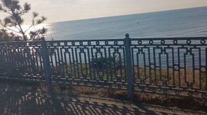 В Анапепо весеннему потеплело! Солнечно и полный штиль! 7 декабря 2024. 13.30