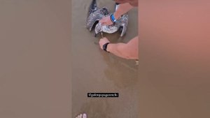 Эти Животные ЗВАЛИ на ПОМОЩЬ. Спасение Диких Животных.

#Познавательно
#Природа