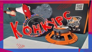 Новогодний конкурс! Приз громкие эстрадные динамики DL Audio Gryphon Lite 165 V.3