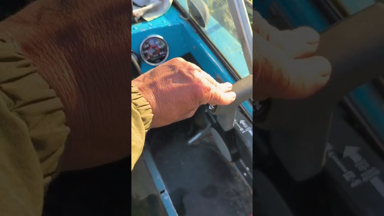 Рыбалка! #рыбалка смотреть онлайн