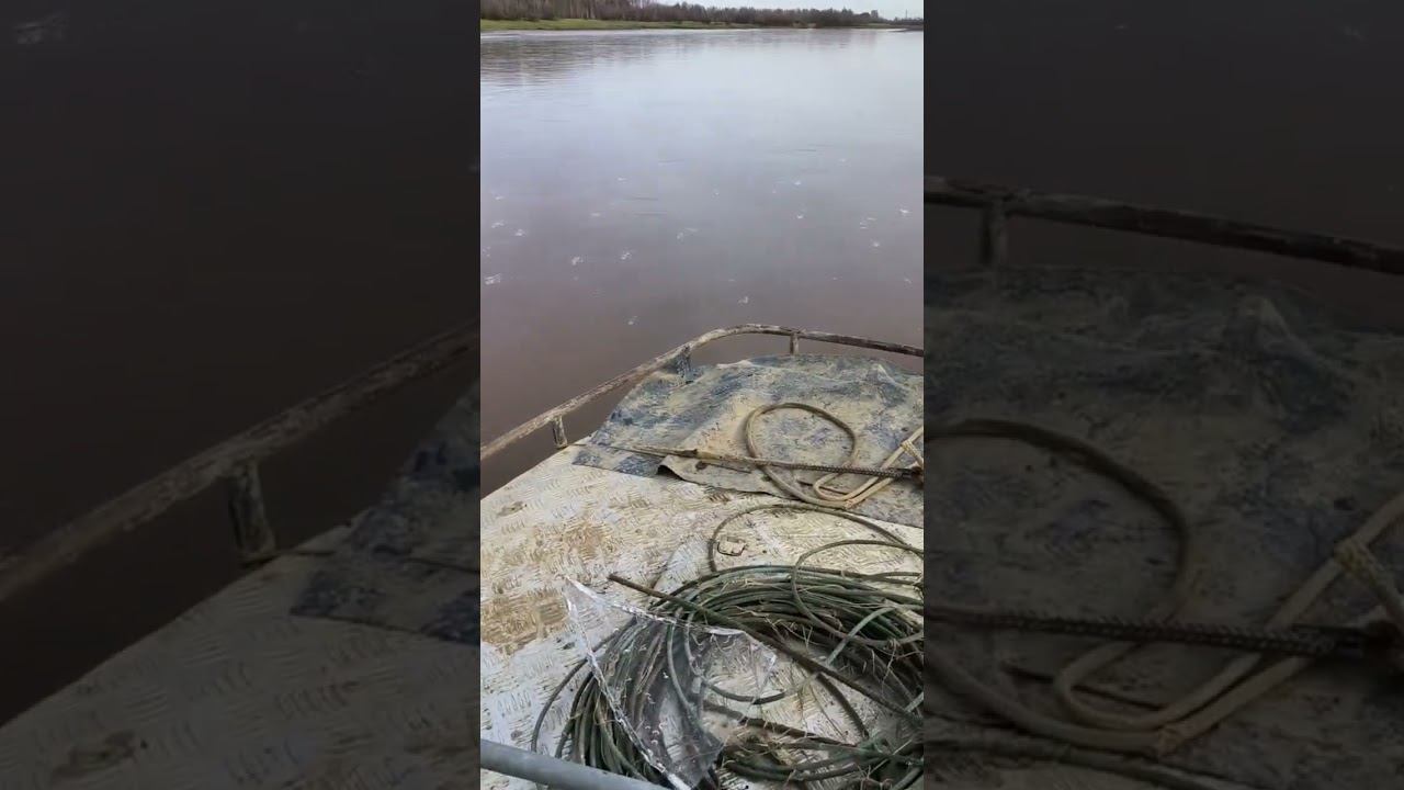 Прекрасное морозное утро на рыбалке. Рыбалка на Язя! #река #рыбалка #мороз #язь #природа #утро #рыба смотреть онлайн