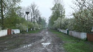 Тернавка 2008