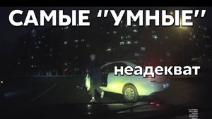 Подборка САМЫХ "УМНЫХ" водителей #1074