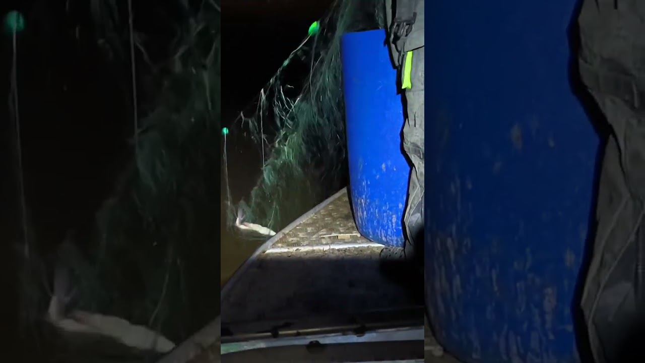 Рыбалка. #рыбалка #зимняяловлярыбы #сети #охота смотреть онлайн