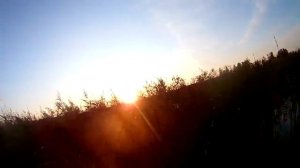 Охота на утку с МР 153/11 08 2019г/Вечер