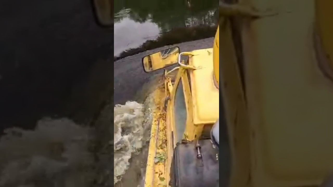 За грибами! #хитрыйосётр #рыбалка #сети #рыбалканаспиннинг #рыбалканащуку #грибы смотреть онлайн