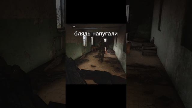 Немного хоррора в S.T.A.L.K.E.R. 2