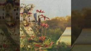 Август © Copyright: Бронислав Сычёв, 2022
Свидетельство о публикации №122080902815