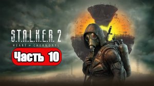 STALKER 2 Heart of Chornobyl - Геймплей Прохождение Часть 10 (без комментариев, PC)