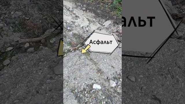 Типичный эльф и «новая» дорога #мд_писатель #юмор #эльфы #фэнтезикниги #книги #буктюб