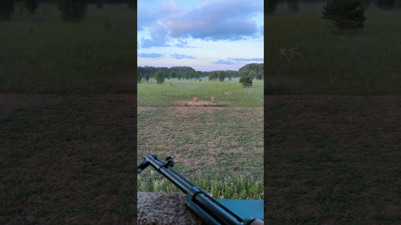 Охота на кабана, охотхозяйство Чугунаевское. #охота #кабан #рыбалка #охотавидео #охотарыбалка смотреть онлайн