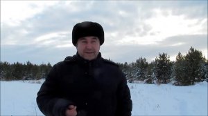 Почему я занялся пчеловодством. пасека Бакшиш. пчеловодство на Урале