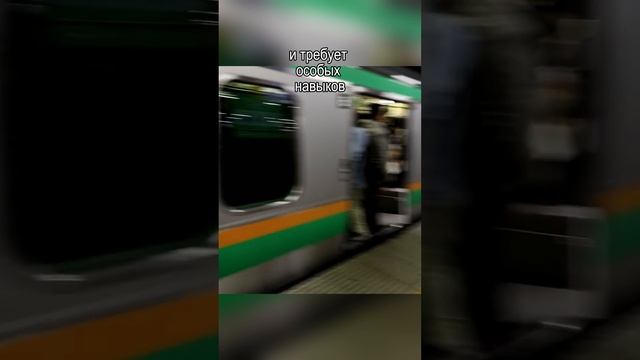 В Японии существует профессия “толкателя” в метро.