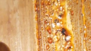 Жизнь в наслаждении. Моменты жизни и детали которые многие не замечают. Банька