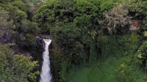 ЗВУКИ ТРОПИЧЕСКОГО ЛЕСА, Просто Расслабься, Расслабься, Расслабься