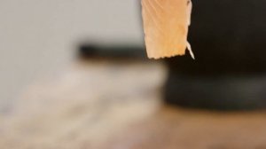 Carpaccio Style Slicing | Everyday Gourmet S8 E52