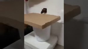 Мышелов-КА...