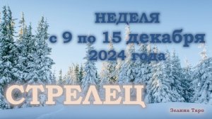 СТРЕЛЕЦ | ТАРО прогноз на неделю с 9 по 15 декабря 2024 года