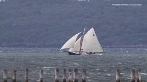 Pastime Arrival Auckland