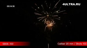 Салют "Золотая Куркума"(100 залпов/калибр 0.8 дюйма)