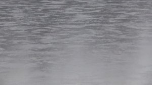 Польша. Дзялошин, Богатыня, Катовице (2019)