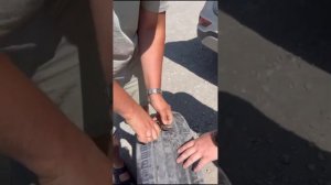 Горный Алтай 2024. Новосибирск- Усть-Сема - Онгудай - Акташ - Мыс Кырсай - Кош-Агач - Манжерок.