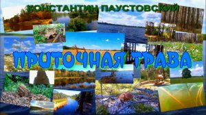 АУДИОКНИГА ,,ПРИТОЧНАЯ ТРАВА,,КОНСТАНТИН ПАУСТОВСКИЙ