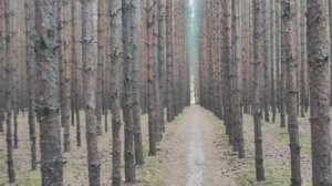 Лето переходящее в зиму