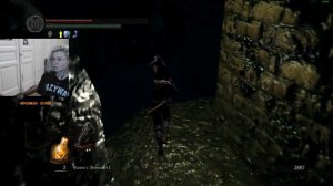 Dark Souls Remastered. Прыгнем в воду разбежавшись конечно