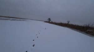 ПЕРВЫЙ ЛЕД. часть 2.